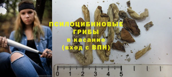 гашик Армянск