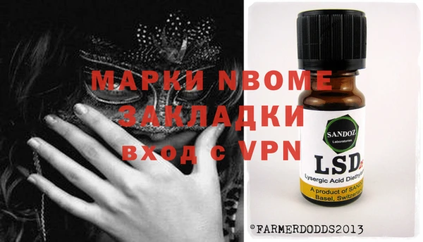 хмурый Алексин