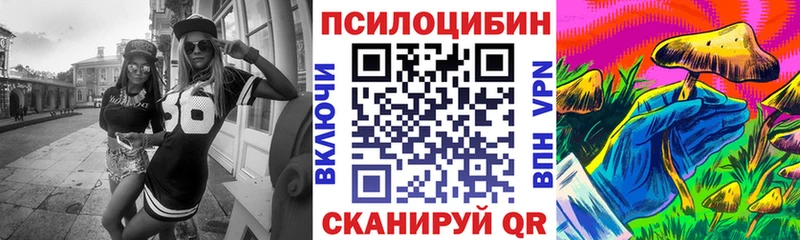сколько стоит Бронницы Галлюциногенные грибы GOLDEN TEACHER
