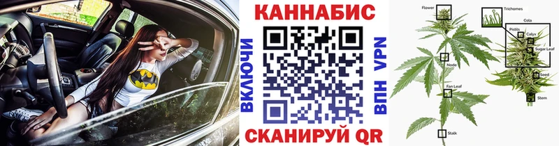 Бошки марихуана ГИДРОПОН  купить наркотики сайты  Бронницы 